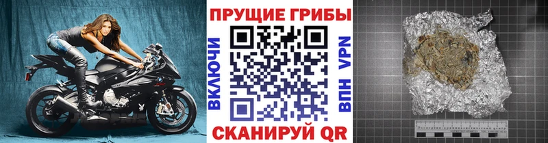 даркнет Telegram  Оленегорск  Псилоцибиновые грибы Psilocybe 
