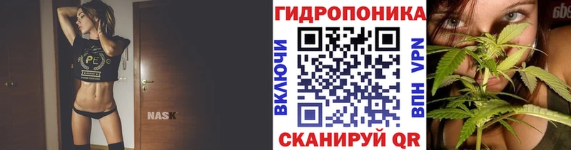 blacksprut ссылка  Оленегорск  Бошки Шишки планчик 